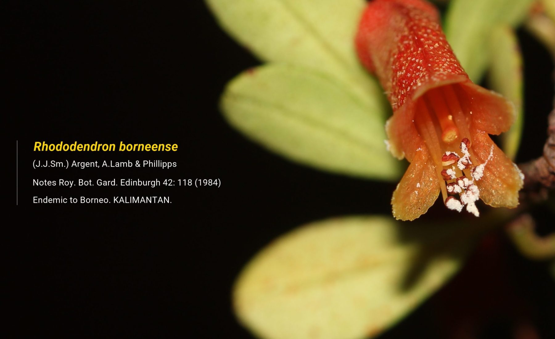 Travel Itinerary slideshow